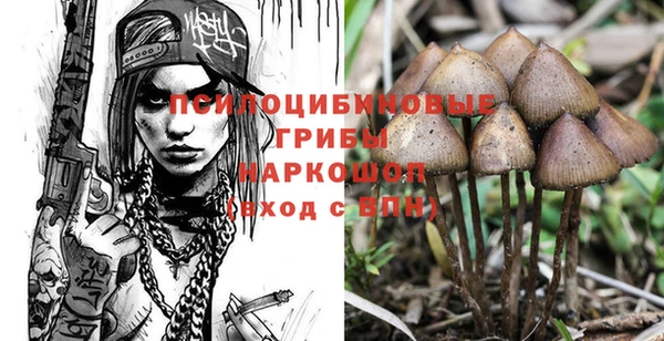 каннабис Заводоуковск